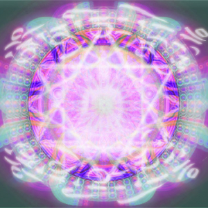 Within the Lotus